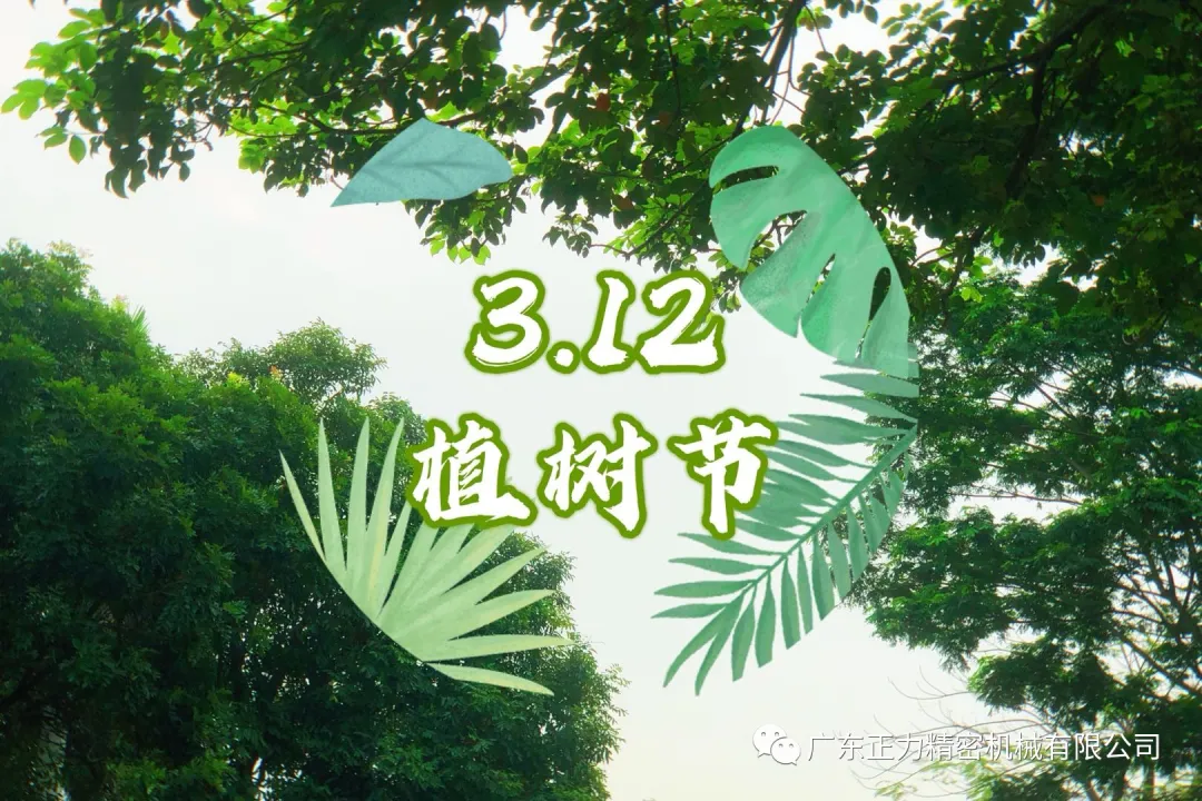 “3.12植樹節”——全民義務植樹40週年